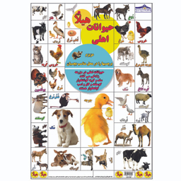 کتاب بگرد و پیدا کن مزرعه اثر کیوان سالمی فیه انتشارات زرین مهر