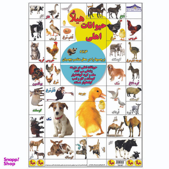 کتاب بگرد و پیدا کن مزرعه اثر کیوان سالمی فیه انتشارات زرین مهر