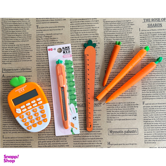 بسته لوازم تحریر طرح هویج تپلی مدل CALC. ORA مجموعه 6 عددی