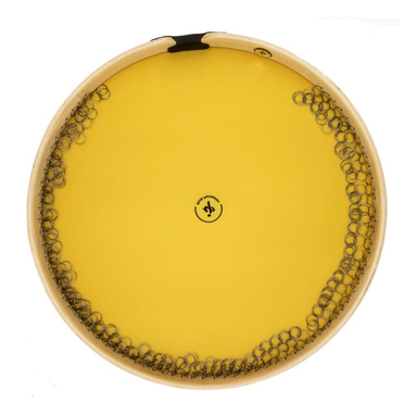 دف آی پی طرح آبرنگی مدل 563