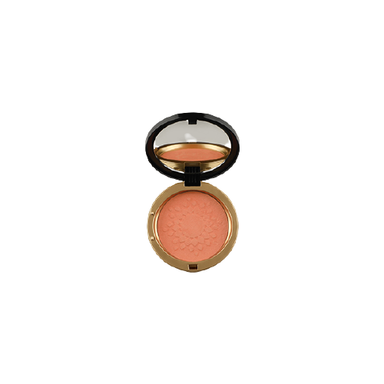 رژ گونه روبی سان (Rubisun) مدل R Blusher کد 252