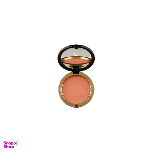 رژ گونه روبی سان (Rubisun) مدل R Blusher کد 252