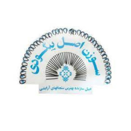 سوزن بیگودی صدف (Sadaf) مدل 01 مجموعه 36 عددی رنگ مشکی