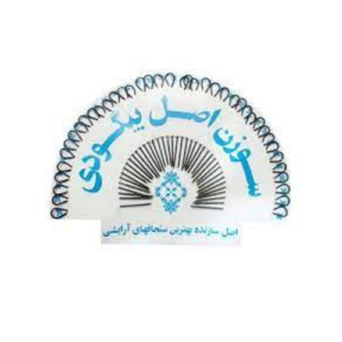 سوزن بیگودی صدف (Sadaf) مدل 01 مجموعه 36 عددی رنگ مشکی