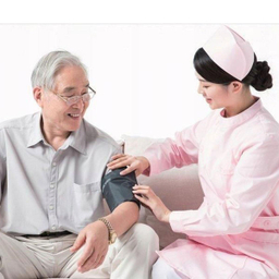 فشارسنج دیجیتال جامپر (Jumper) مدل JPD-HA210