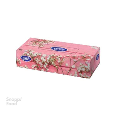 دستمال کاغذی جعبه ای شکوه (Shokoh) تعداد 100 برگ