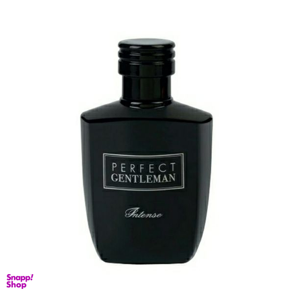 ادوپرفیوم آرت اند پرفیوم (Art & Parfum) مدل Intense حجم 100 میلی‌ لیتر