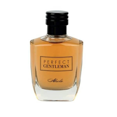 ادوپرفیوم آرت اند پرفیوم (Art & Parfum) مدل Perfect Gentleman Absulo حجم 100 میلی‌ لیتر
