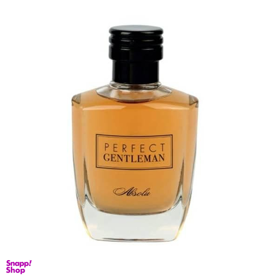 ادوپرفیوم آرت اند پرفیوم (Art & Parfum) مدل Perfect Gentleman Absulo حجم 100 میلی‌ لیتر