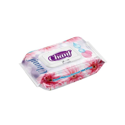 دستمال مرطوب پاک کننده آرایش چانف (Chanf) مدل 001 بسته 42 عددی