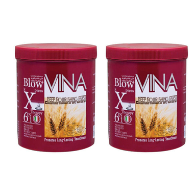 ماسک مو وینا (Vina) مدل گندم حجم 750 میلی لیتر مجموعه 2 عددی