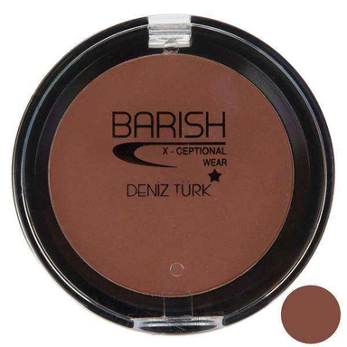 رژگونه باریش (Barish) شماره 504