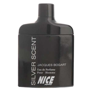 ادوپرفیوم مردانه نایس مدل Silver Scent حجم 85 میلی‌ لیتر