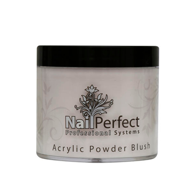 پودر کاشت ناخن نیل پرفکت (Nail Perfect) مدل P-B وزن 366 گرم