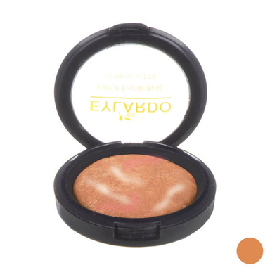 رژگونه ایلاردو (Eylardo) شماره 304