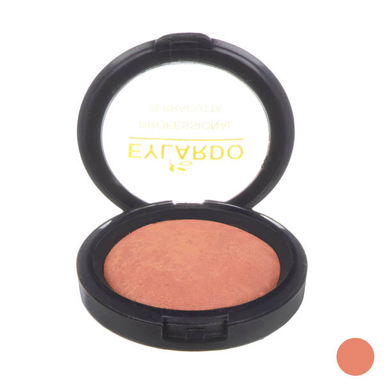 رژگونه ایلاردو (Eylardo) شماره 301