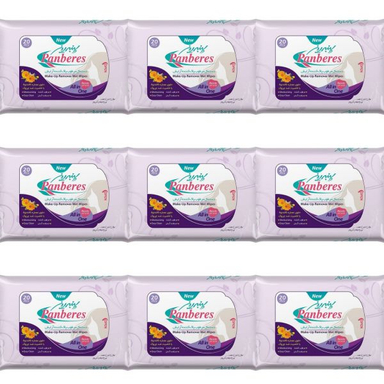 دستمال مرطوب پاک کننده آرایش پنبه ریز (Panberes) کد 20 مجموعه 9 عددی