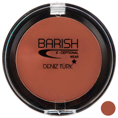 رژگونه باریش (Barish) مدل Helthy Skin شماره 505