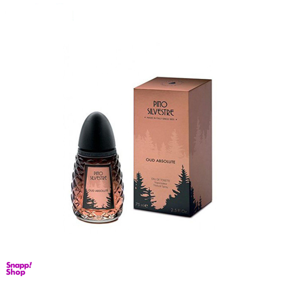 ادو تویلت مردانه پینوسیلوستر (Pino Silvestre) مدل Oud Absolute ‌