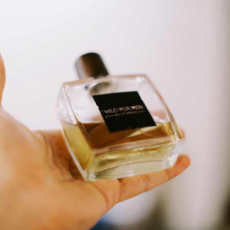 ادوپرفیوم مردانه استاویتا (Stavita) مدل Wild for Men