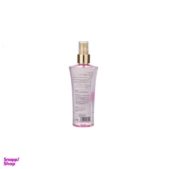 محلول پاک‌ کننده پوست ربیع (Rabee) مدل Elize Rose Water حجم 120 میلی‌لیتر