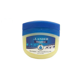 وازلین دی آر لندر (Dr Lander) مدل Mint Butter وزن 100 گرم