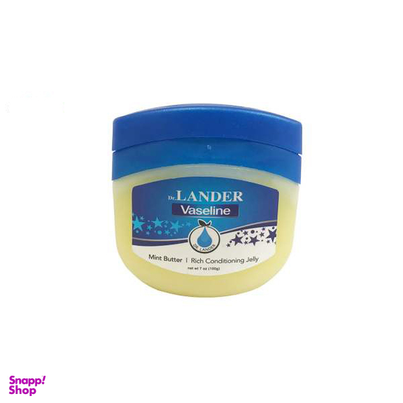 وازلین دی آر لندر (Dr Lander) مدل Mint Butter وزن 100 گرم