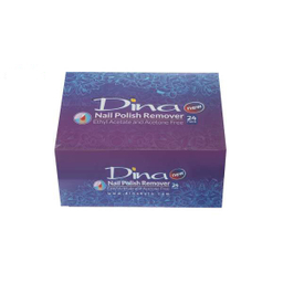 پد لاک پاک کن دینا (Dina) مدل Flower بسته 24 عددی
