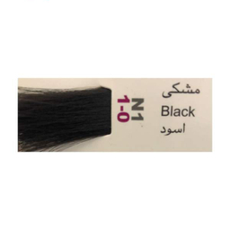 رنگ مو پادینا (Padina) شماره N1.1.0 رنگ مشکی حجم 100 میلی‌لیتر