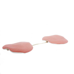 پد عرق گیر تادو (Tado) کد 02 بسته 2 عددی