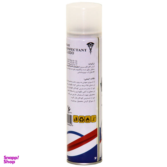اسپری ضدعفونی کننده دست و سطوح ریکاردو (Ricardo) مدل fast حجم 250 میلی-لیتر