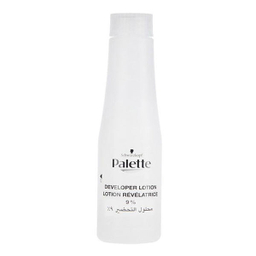 کیت رنگ مو پلت (Palette) مدل Intensive شماره 10.1 رنگ نقره‌ای مات حجم 50 میلی‌لیتر مجموعه 2 عددی