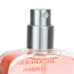 عطر جیبی مردانه نایس پاپت مدل Burberry حجم 35 میلی‌لیتر