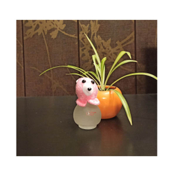 ادوکلن کودک لیو وان (Leo One) مدل BEAR PEMBE