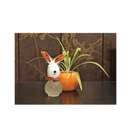 ادوکلن کودک لیو وان (Leo One) مدل LEVERET KAHVE
