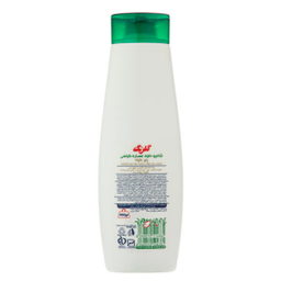 شامپو مو گلرنگ (Golrang) مدل Rosemary وزن 400 گرم به همراه نرم کننده مو گلرنگ (Golrang) وزن 300 گرم