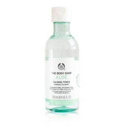 تونر تسکین دهنده بادی شاپ (The Body Shop) مدل Aloe حجم 250 میلی‌ لیتر