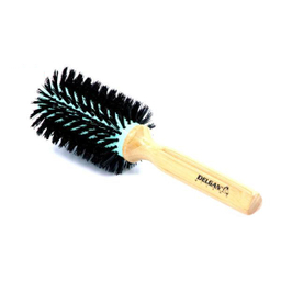برس مو دلگان (Delgan) مدل W02 R0004 022 OW06