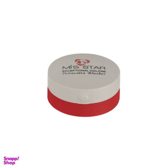 رژ گونه تراکوتا میس استار مدل MTS