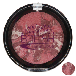 رژ گونه تراکوتا باریش (Barish) مدل Silky Touch