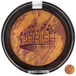 رژ گونه تراکوتا باریش (Barish) مدل Silky Touch