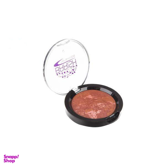 رژ گونه تراکوتا باریش (Barish) مدل Silky Touch
