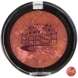 رژ گونه تراکوتا باریش (Barish) مدل Silky Touch