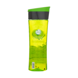 شامپو کراتینه مو آردن (Ardene) سری هرباسنس مدل Sebo Regulating حجم 300 میلی‌ لیتر