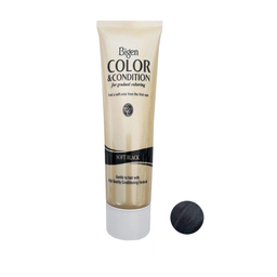 کیت رنگ مو بیگن مدل Color & Condition رنگ Soft Black حجم 100 میلی لیتر