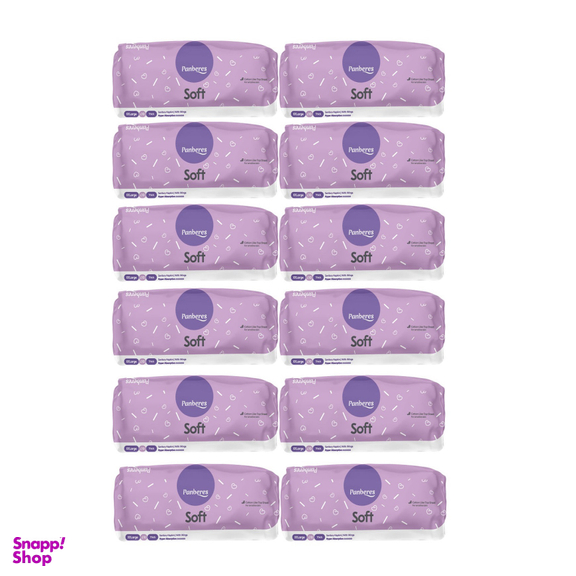 پک اقتصادی نوار بهداشتی لیدا پنبه ریز (Panberes) بسته 12 عددی