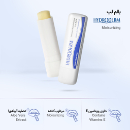 بالم لب هیدرودرم مدل Moisurizing وزن 4.5 گرم