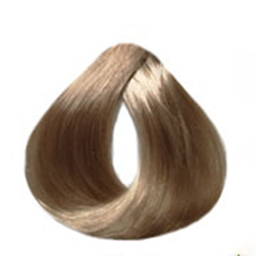 کیت رنگ موی گارنیک (Garnic) شماره 9.1 رنگ بلوند خاکستری خیلی روشن