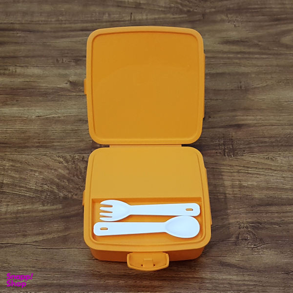 ظرف غذا 3 تکه کودک هوبی لایف (Hobby Life) مدل Dino