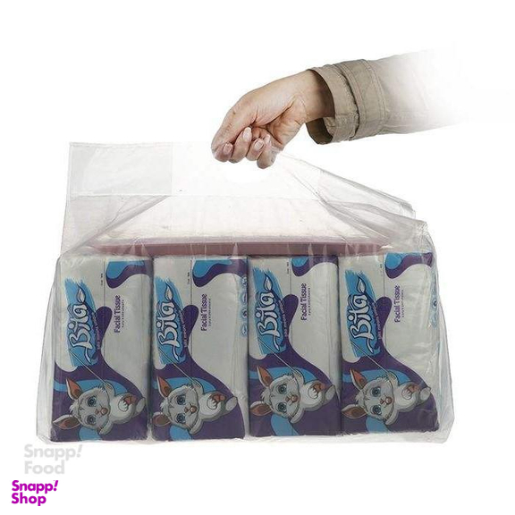 دستمال کاغذی بیتا (Bita) بسته 8 عددی 250 برگ به همراه یک عدد سینی اشانتیون